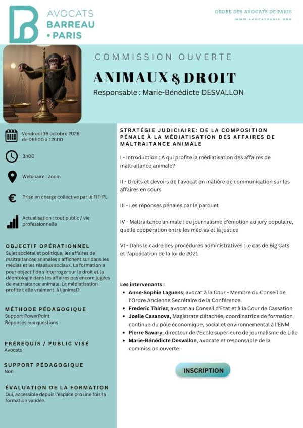 Animaux_16 octobre 2026 (3)